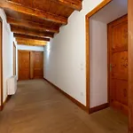 Attic Historic Building With Air Conditioning Ceresole Reale