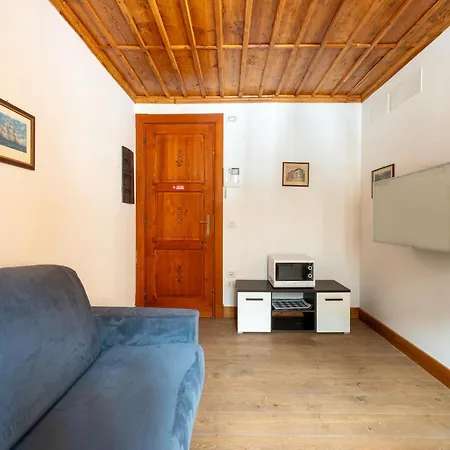 Attic Historic Building With Air Conditioning * チェレゾーレ・レアーレ